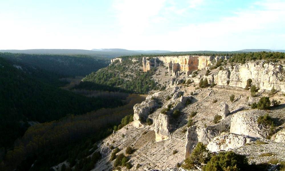 Hotel Rural La Corte De Los Pinares 比努埃萨 外观 照片